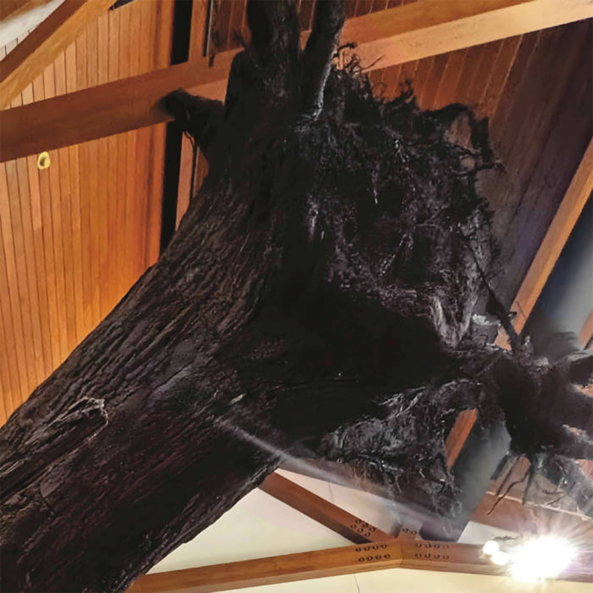 The cover of Endless Mike and the Beagle Club's "The Forest is the Trees" depicting a tree stump that has crashed through a cabin roof